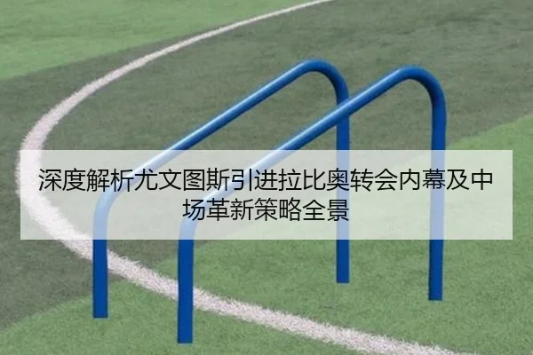 深度解析尤文图斯引进拉比奥转会内幕及中场革新策略全景